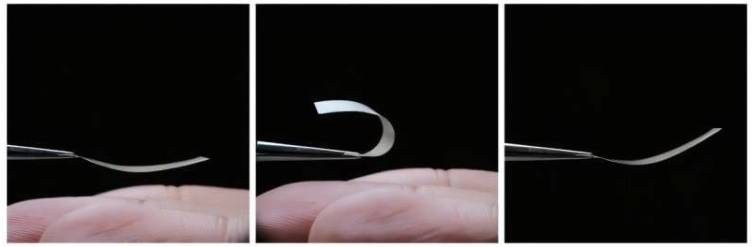 这种真菌薄膜对水分具有可逆反应，可用于生物基湿度传感器