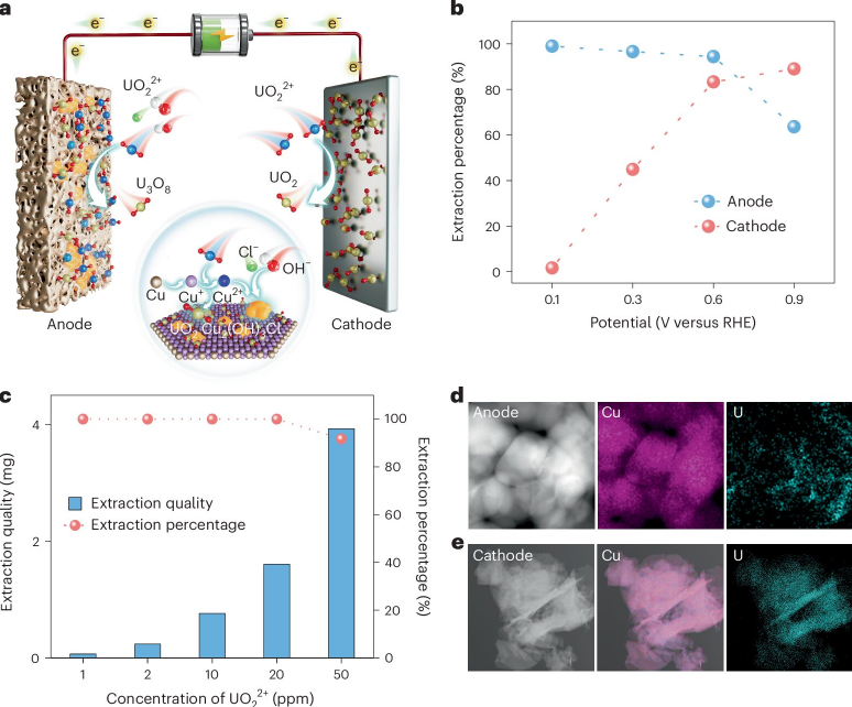 双极EUE系统工艺及其性能。a .采用阳极电化学辅助间接铀还原反应与阴极直接铀电还原相结合的双极铀提取示意图。b .双电极系统下阳极和阴极的提取百分比与施加电位的关系。c .双极系统在不同浓度UO2(NO3 ) 2的NaCl溶液中的EUE效率。d .和e . 铀提取后阳极( d)和阴极(e )电极的能量色散X射线光谱图。图片来源:《自然可持续性》(2025)