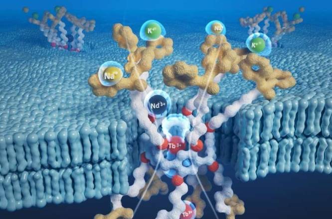 人工水渠效果图