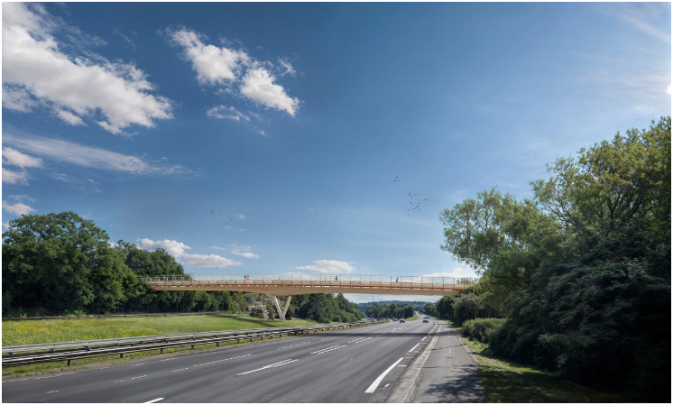 Team Horsycle 的获奖作品