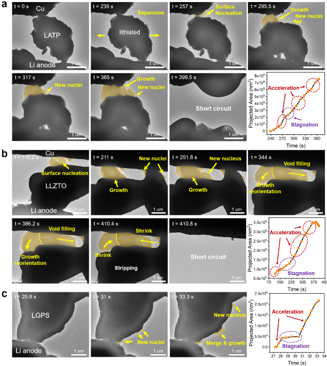 锂金属析出——电解质短路动力学的原位电镜观察 