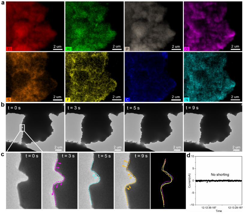 无机/有机复合固态电解质中的稳定锂离子传输 