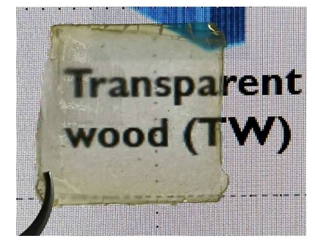 这片半透明的木片采用天然材料制成，可用于从可穿戴传感器到节能窗户等各种应用