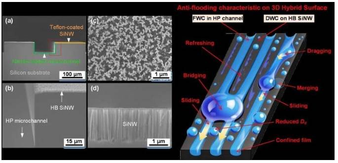 三维混合表面的SEM图像和示意图，展示了膜状和滴状冷凝相结合的防溢特性