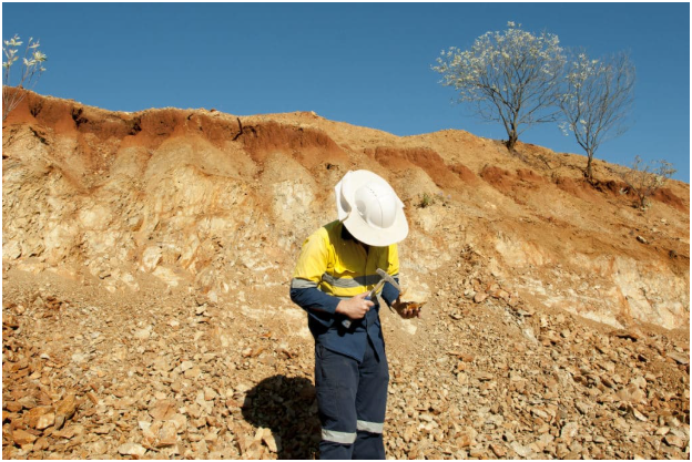 图片：Adwo/shutterstock.com