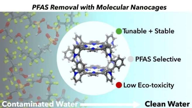 卟啉基分子纳米笼示意图，该纳米笼经过特殊设计，具有选择性、水稳定性和快速吸附性。这些纳米笼平均可从混合水溶液中去除90%的38种PFAS化合物。该材料有望实现更高效、更安全、更可持续的水修复