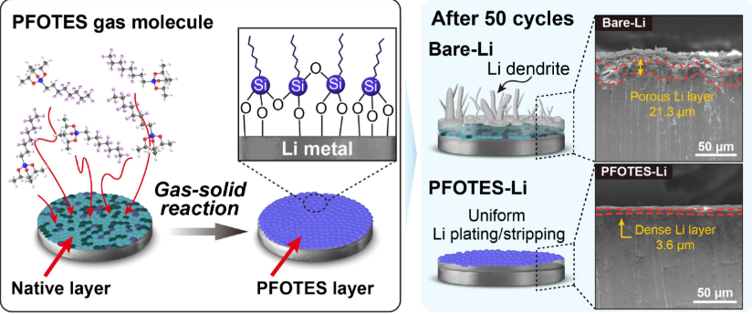 图片来源：蔚山国立科学技术研究院