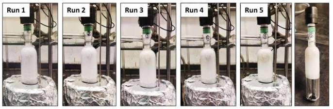照片显示了每加热4小时(总反应时间=20小时)后不同运行条件下TPA产物的生成情况。