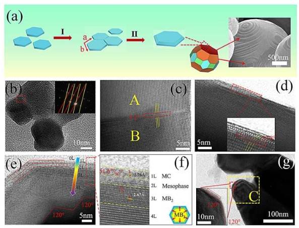硼化物陶瓷颗粒生长过程示意图