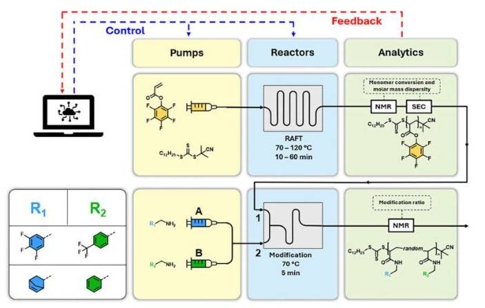 本研究中使用的流动反应装置的可视化。上图：用于五氟苯基丙烯酸酯RAFT聚合的自动化聚合平台，带有基于软件的反馈和控制回路。下图：聚五氟苯基丙烯酸酯用两种不同的伯胺对进行后聚合改性的示意图。控制流速有助于直接控制活性聚合物的改性比例