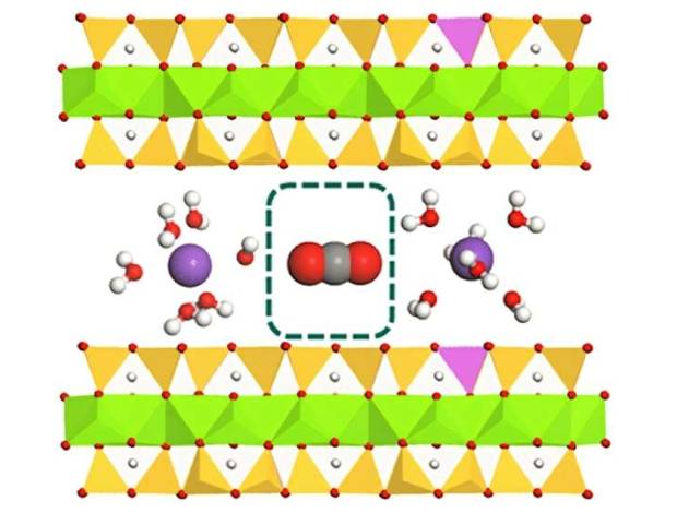 这幅图显示了夹在两个粘土颗粒之间的粘土夹层。夹层区域由可交换阳离子(紫色球体)、围绕可交换阳离子的水分子(红色和白色球体)以及两个水合阳离子之间的一个二氧化碳分子(红色和灰色球体)组成