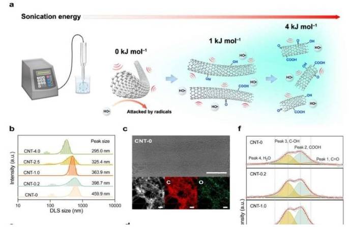 超声碳纳米管催化剂的合成与表征