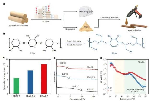 高性能热熔胶(XA)由纸浆工业的副产品木聚糖制备而成。