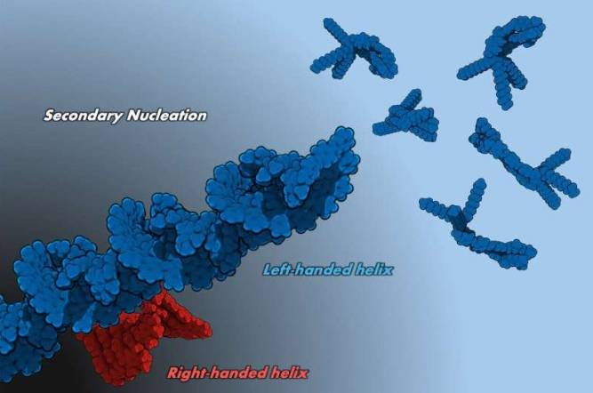 研究人员确定了残留聚集体的存在如何影响超分子手性，为电子材料的研究开辟了新的途径。