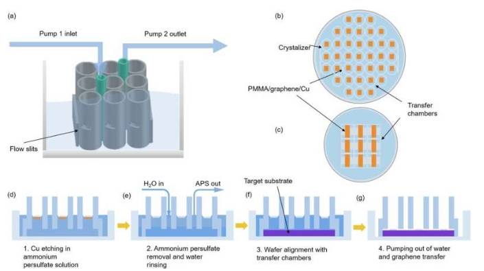用于自动平行转移石墨烯带阵列的装置