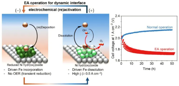 镍基电极连续活化和再活化的动态极化控制。图片来源:《自然通讯》