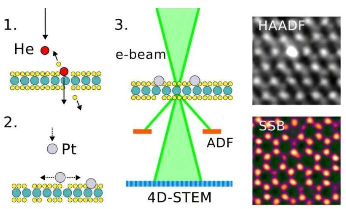 研究人员将单个铂原子植入单层二硫化钼的特定位置