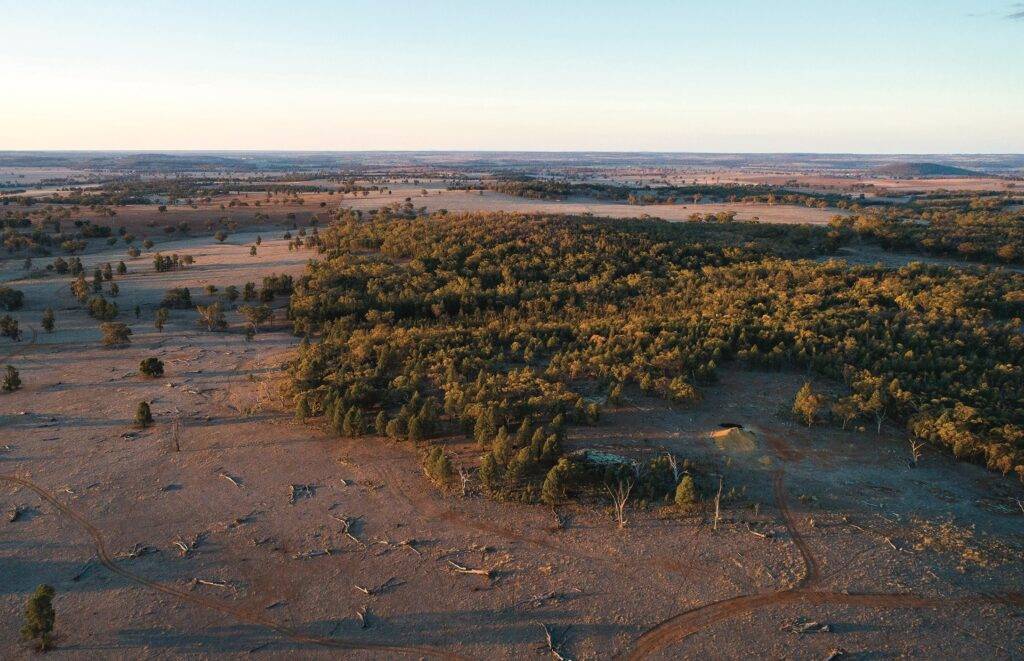 澳大利亚战略材料公司位于新南威尔士州的达博项目。图片来源：ASM