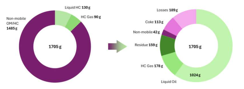 超临界水处理后岩石中有机物成分的变化。值得注意的是,固体有机物(非移动性有机物/碳氢化合物)几乎全部转化为其他成分,主要是液态油。岩石模型的总重量几乎是所示重量1705克的11倍——该数字不包括非有机物。图片来源:Elena Mukhina等人/《化学工程杂志》