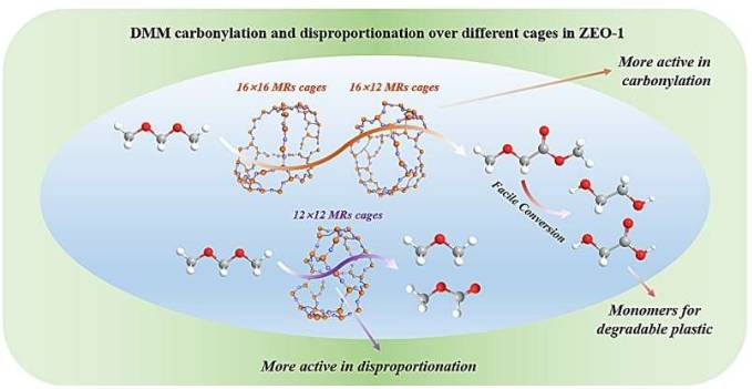 二甲氧基甲烷 (DMM) 羰基化反应为生产可降解塑料单体乙醇酸提供了一种温和、绿色且可持续的途径。ZEO-1 沸石分子筛包含由 16&times;16 和 16&times;12 分子筛交点组成的大笼，具有较高的 DMM 羰基化活性;以及由 12&times;12 分子筛交点组成的小笼，具有较高的 DMM 歧化活性。ZEO-1 沸石分子筛独特的结构和活性位点分布使其同时表现出较高的 DMM 羰基化和歧化活性