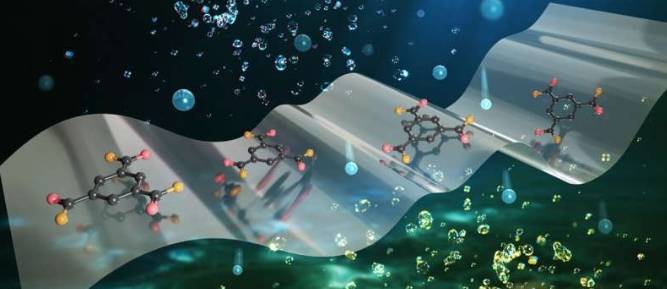 界面聚合物交联策略使超薄聚合物膜能够实现快速且选择性的离子传输