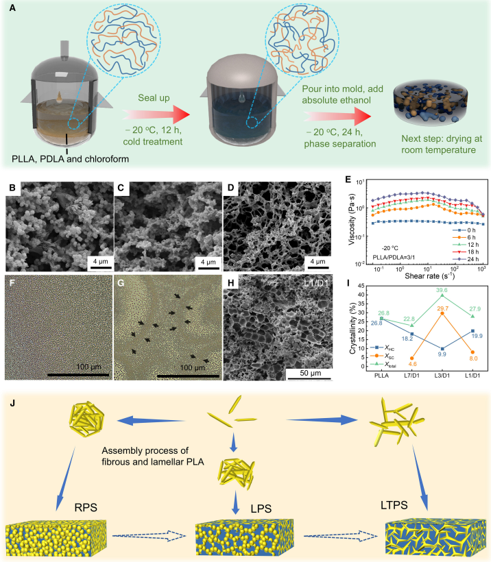BPCM的制备工艺及结构调控。图片来源:Cell Reports Physical Science (2025)