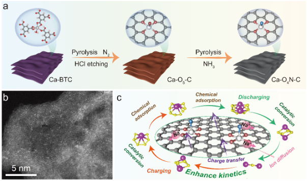 图1. Ca单原子催化剂的合成示意图、结构表征及钠硫电池反应机理图。