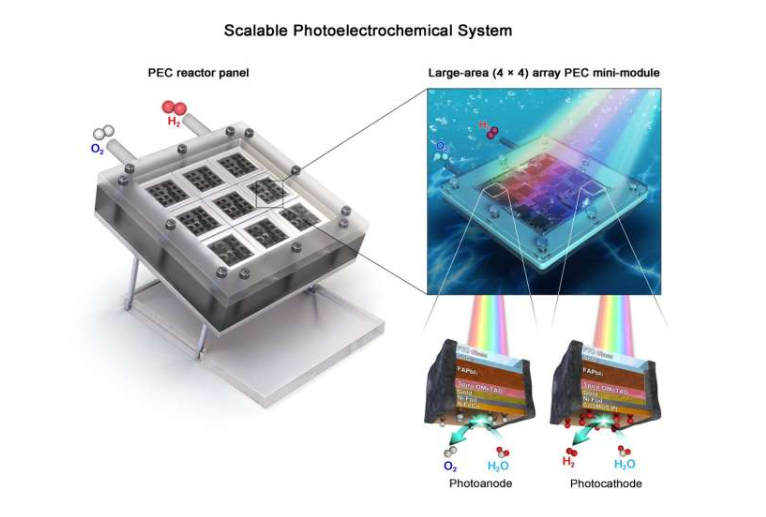 用于太阳能制氢的微型模块大小大型人造叶片的演示。右图所示为一个大型微型模块大小的人造叶片（16 cm&sup2;）的示意图，该叶片采用4&times;4阵列设计，每个子电池（每个尺寸为1 cm&sup2; ）包含8个光阳极和8个光阴极。图片来源：《自然通讯》（2025）