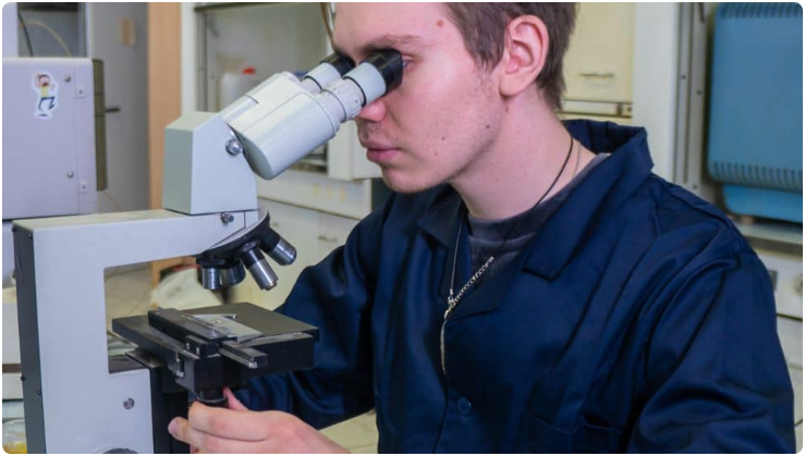 古布金大学开发出一种利用植物生产航空燃料的技术/&copy; 俄罗斯国立古布金石油天然气大学研究团队拍摄