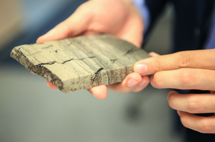 图片来源:PAO Gazprom Neft