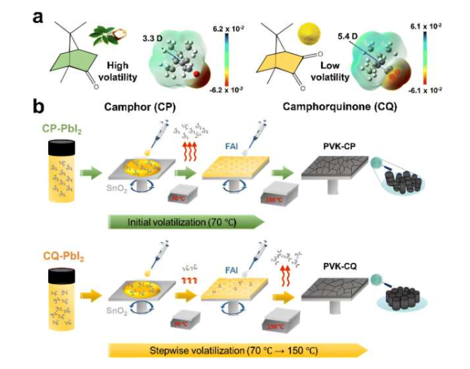 挥发性固体添加剂诱导的逐步挥发。图片来源：能源与环境科学(2025)