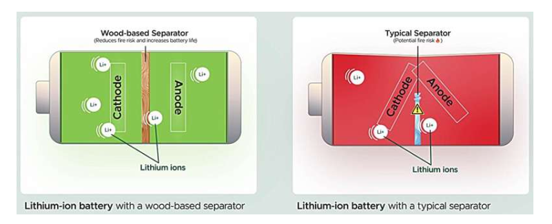 左图：锂离子电池中的木质隔膜与锂离子电池中典型的塑料隔膜的对比。图片来源：密歇根州立大学/Molly Killingbeck