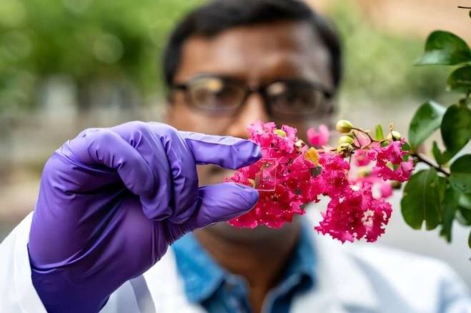 莱斯大学的研究人员及其合作者研发出一种新型玻璃涂层,可以防止漏水窗户造成的热量损失,从而有助于降低能源费用,尤其是在寒冷季节