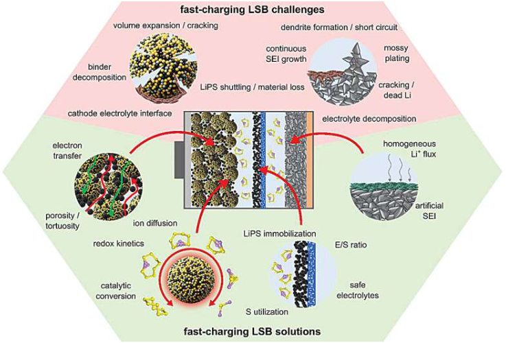 快速充电 LSB 的关键挑战(红色背景)和潜在解决方案(绿色背景)。图片来源:Advanced Energy Materials (2025)
