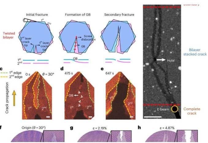 原位 STEM 观察扭转双层MoS2 的断裂过程