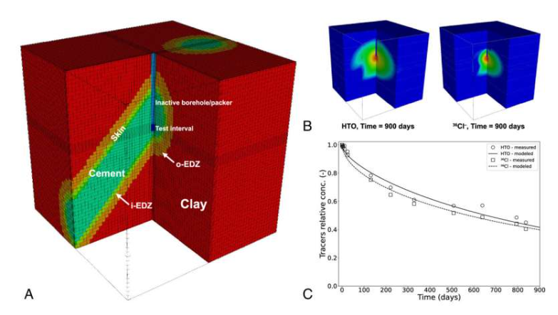 （A）模拟中使用的计算域和材料分布。旋转计算域，使Opalinus粘土层垂直。（B）900天时中性HTO（左）和带电36Cl&minus;溶质（右）的三维等值线图。（C）使用三维模型比较钻孔浓度的观测值（符号）和模拟值（线）。图片来源：美国国家科学院院刊