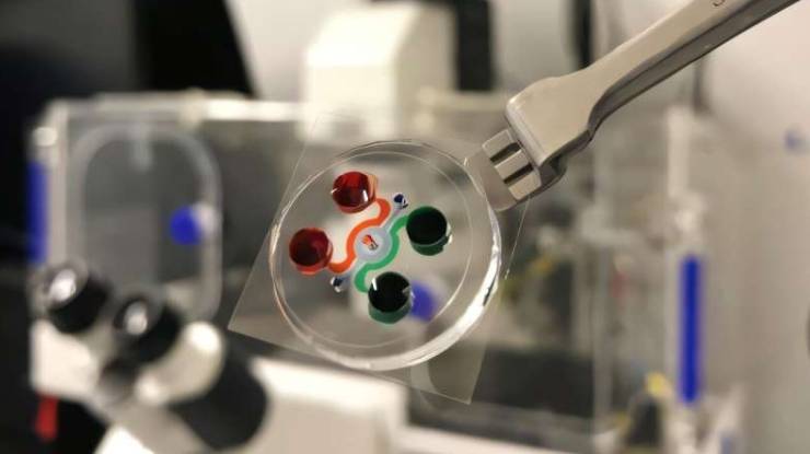 白血病芯片装置