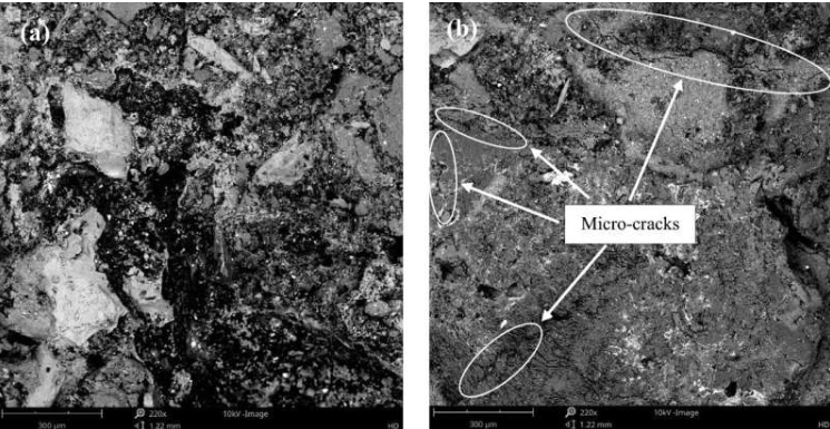 用RWGP和石灰稳定的CEB的SEM图像；a）10% RWGP和石灰，b）25% RWGP和石灰。图片来源：Discover Civil Engineering (2025)
