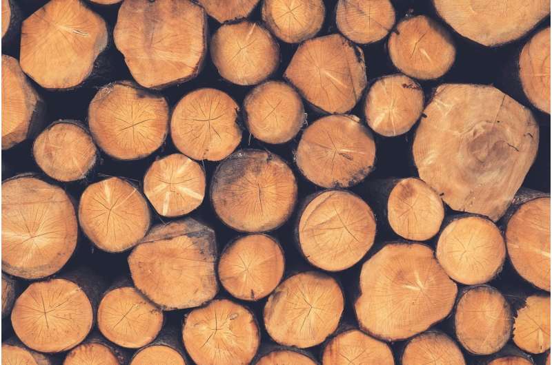 图片来源：CC0公共领域