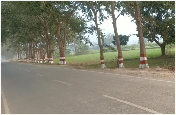 印度总理纳伦德拉&middot;莫迪正在比哈尔邦启动价值约720亿印度卢比（约合8.3625亿美元）的公路和铁路项目。图片：&copy; Suman Kumar Singh/Dreamstime.com