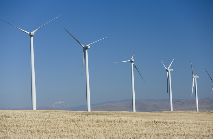 位于俄勒冈州吉列姆县的&ldquo;Leaning Juniper lIB&rdquo;项目将为谷歌位于附近达尔斯的数据中心提供能源。