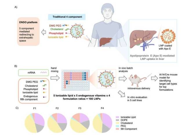 第五组分ENDO LNP制剂及筛选平台概述