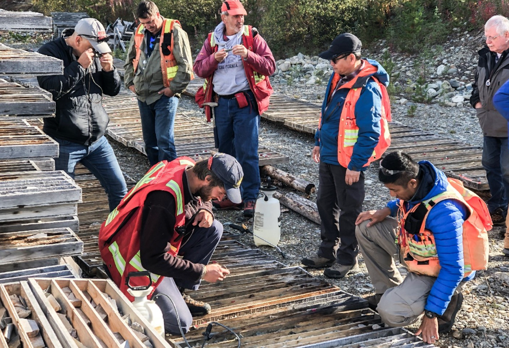 Amarc和Freeport团队正在审查Pine矿床钻孔岩芯。图片来源:Amarc Resources