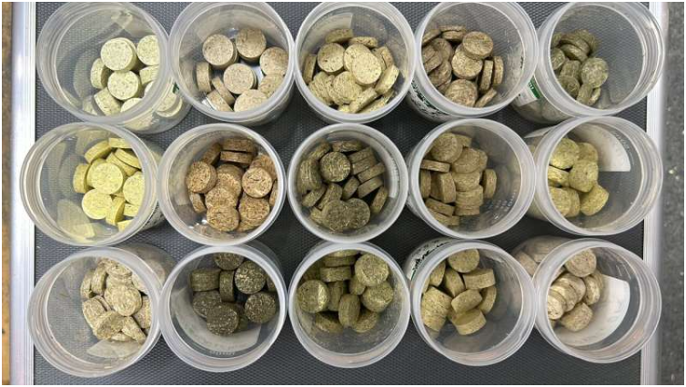 研究人员评估了将布里斯班西部发现的15种杂草转化为生物质颗粒(可用作固体生物质燃料)的潜力。昆士兰大学农业与食品创新联盟的布鲁诺·德·阿尔梅达·莫雷拉博士是这项研究的主要作者,他表示,巴西茄属植物和攀缘芦笋这两种藤本植物被发现适合用作生物质颗粒。图片来源:布鲁诺·德·阿尔梅达·莫雷拉博士