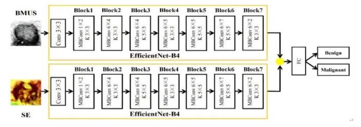 甲状腺多模态图像特征融合模型流程图