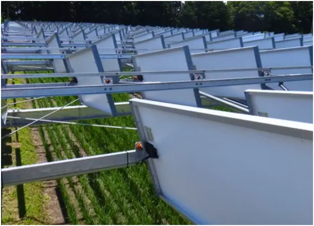 长野稻田上方的太阳能电池阵列跟踪太阳，每年提供近 44,000 千瓦时的电力  Y. Okada等人/ 《能源光子学杂志》