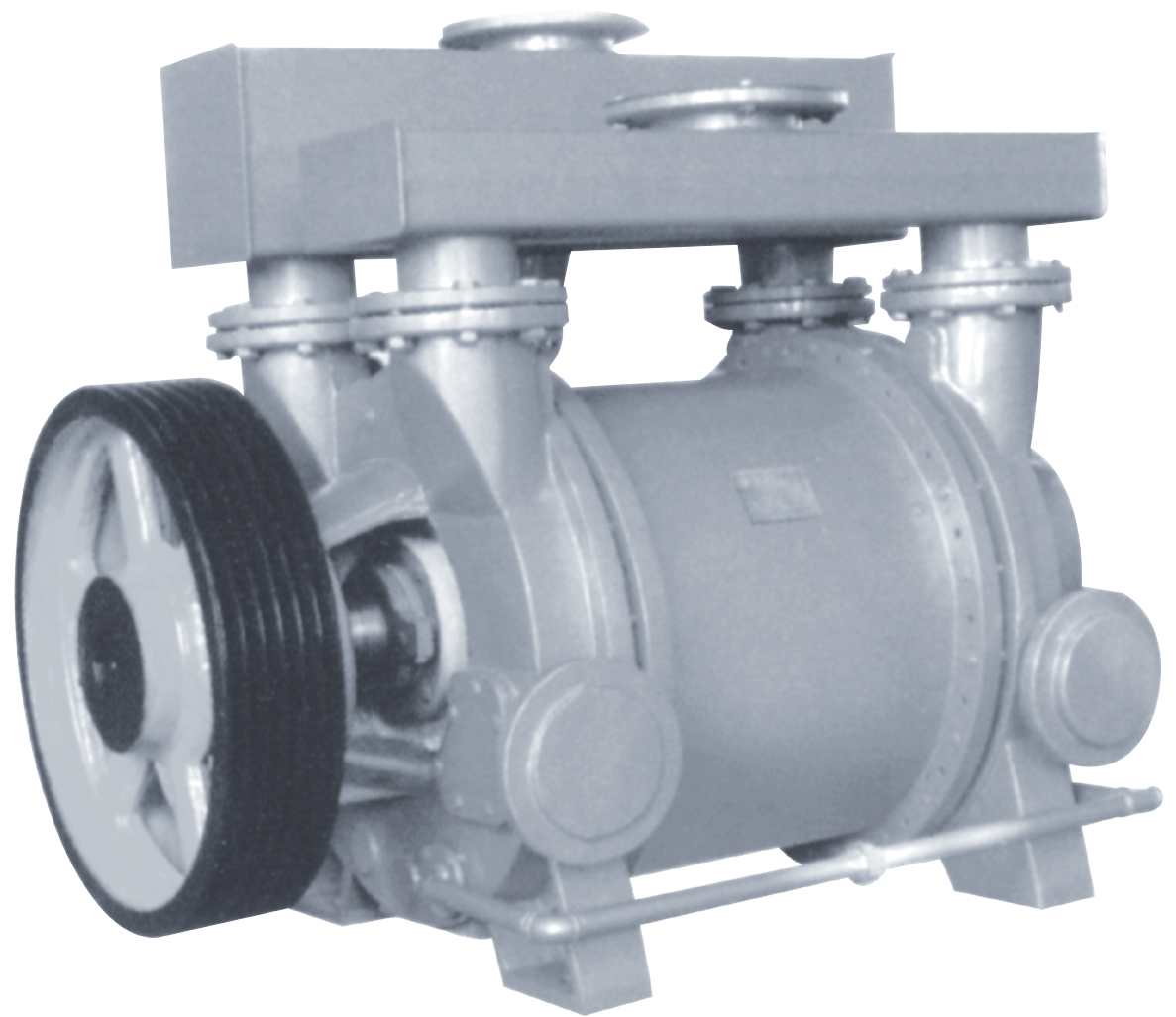 2BEN Novel Water Ring Vacuum Pump