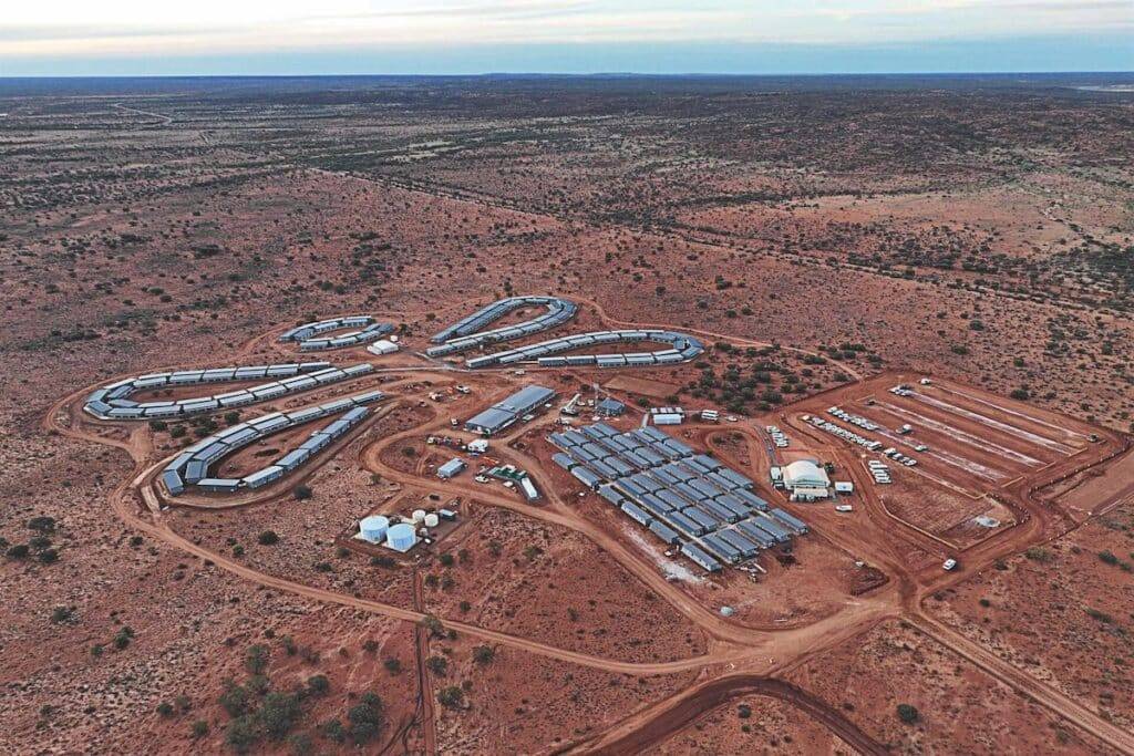 凯瑟琳&middot;瓦利 (Kathleen Valley) 开幕式上，宾客们抵达蜻蜓村。图片：Liontown Resources