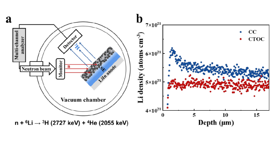 （a）固态电池正极利用中子深度剖面分析技术测量示意图（b）传统单层正极和新型电荷转移优化正极利用中子深度剖面分析技术获得的锂浓度分布曲线对比