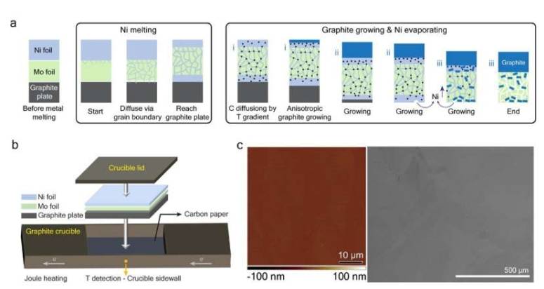(a)建议的反应路径示意图。(b)实验配置示意图。(c)镜面石墨膜的AFM高度图像和SEM图像